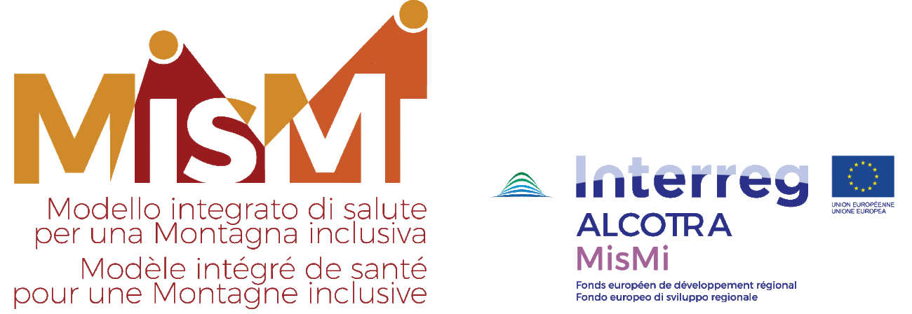 Rencontre des partenaires du projet MISMI