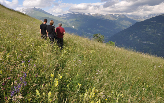 Contrat départemental Savoie