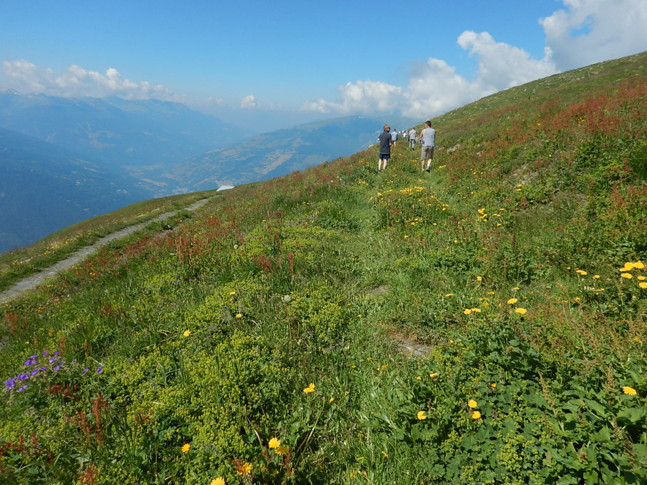 Visite sur l’alpage de Prariond