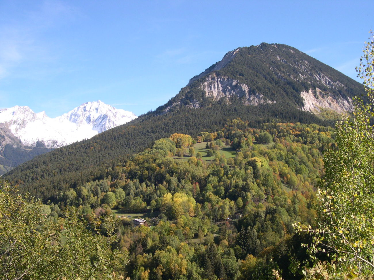 Sylv’acctes : pour des forêts plus résilientes face au changement climatique