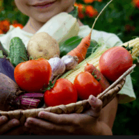 Offre de stage pour contribuer au futur Plan Alimentaire Territorial de la Tarentaise