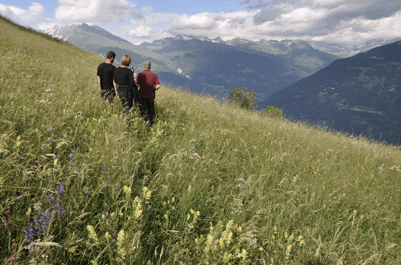Offre de stage Diagnostic de vulnérabilité climatique – Tarentaise