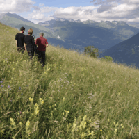 Offre de stage Diagnostic de vulnérabilité climatique – Tarentaise