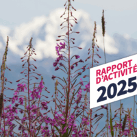 Le rapport d'activité 2025 est arrivé