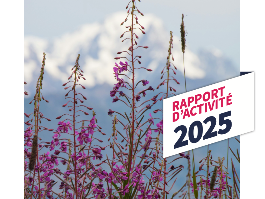 Le rapport d&rsquo;activité 2025 est arrivé